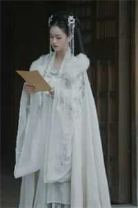 休夫后，全京城贵公子都求她再嫁